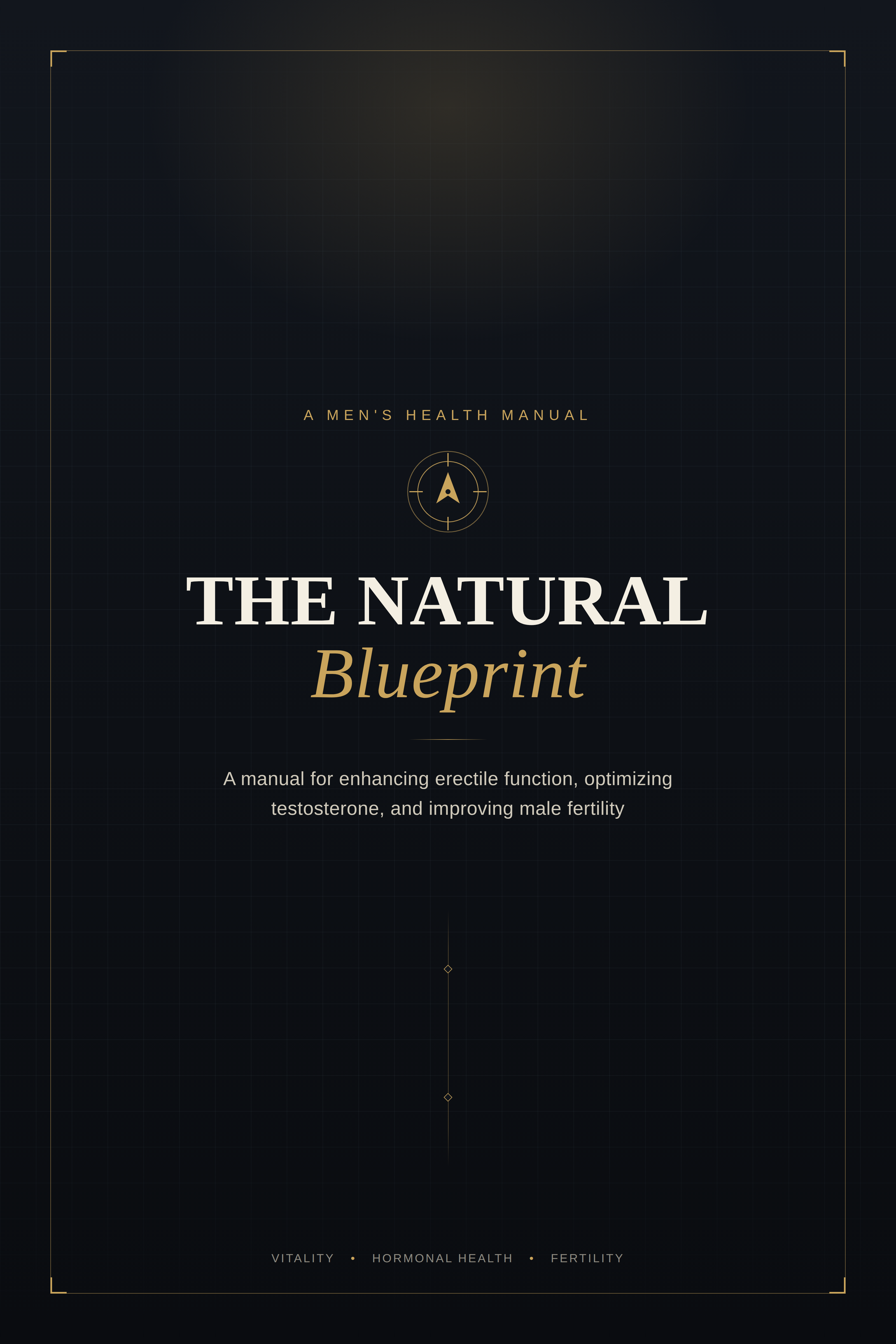 The Natural Blueprint — ebook cover